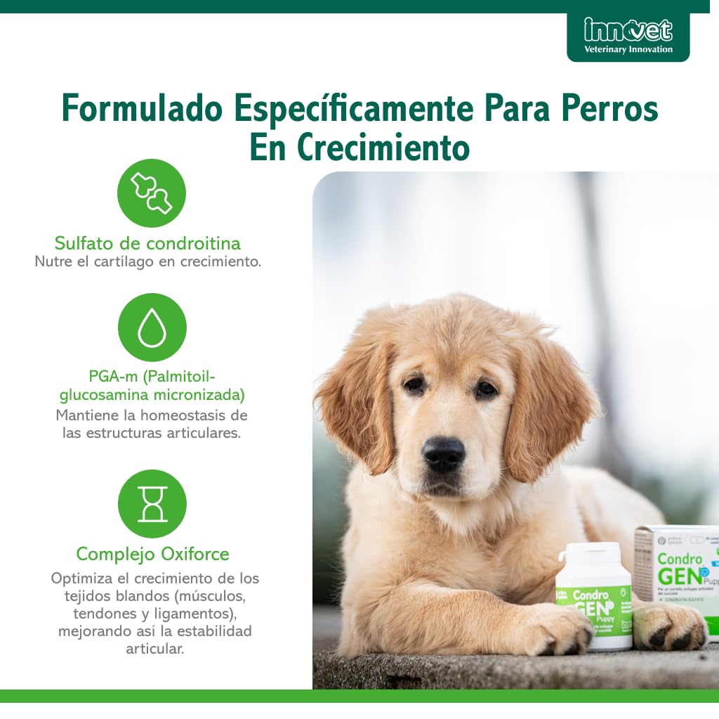 Innovet Condrogen Puppy Condroprotector Perros Cachorros 60 Comprimidos | Articulaciones Fuertes Durante el Crecimiento con Glucosamina Condroitina – Nutre el Cartílago Para Razas Grandes y Gigantes