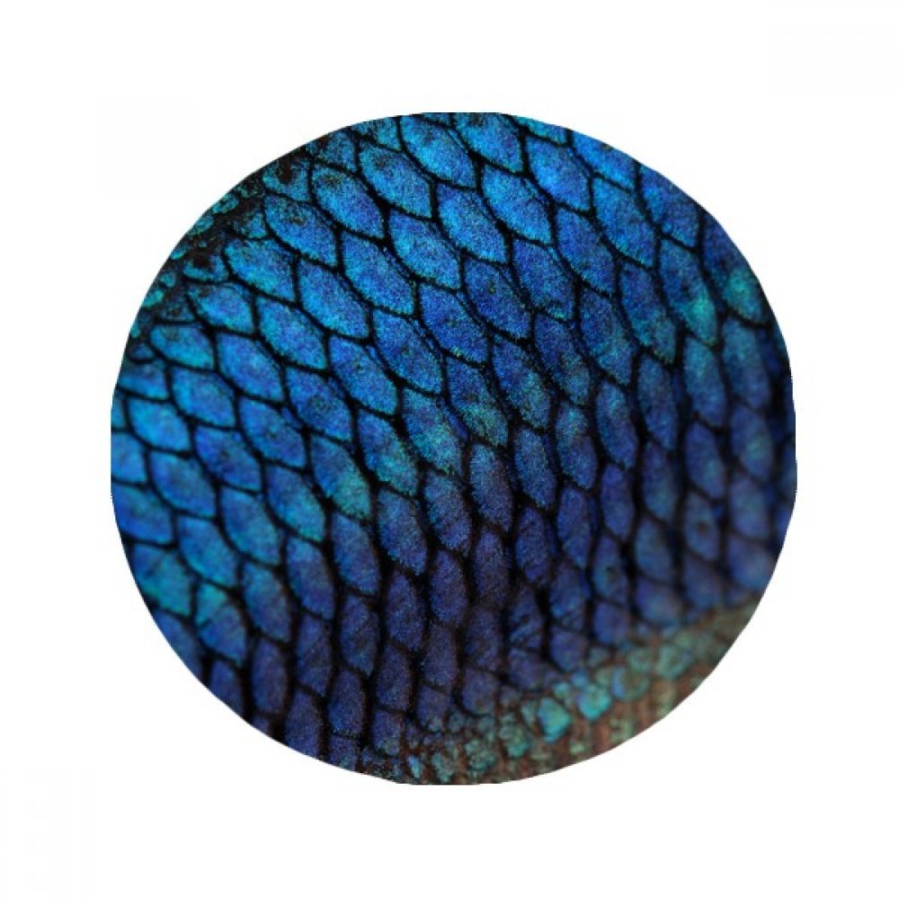 Tapis de sol Poisson Mystère Bleu tapis rond de salle de bain cuisine 80cm