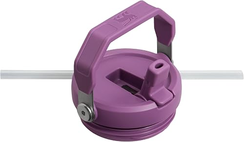 Stanley 1913 Flip Straw Tumbler 0.89L - Lilac - 9