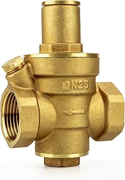 Pressure Regulator Valve Reducing Valve Adjustable Brass Water Pressure Valve for Water Purification Equip DN25, Large