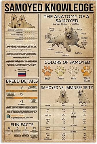 rayprint The Anatomy Of A Samoyed Canvas Painting Prints Samoyed Knowledge Frameless PostersWall Art Decor For Bathroom Decor Aesthetic Room Decor 8x12inch