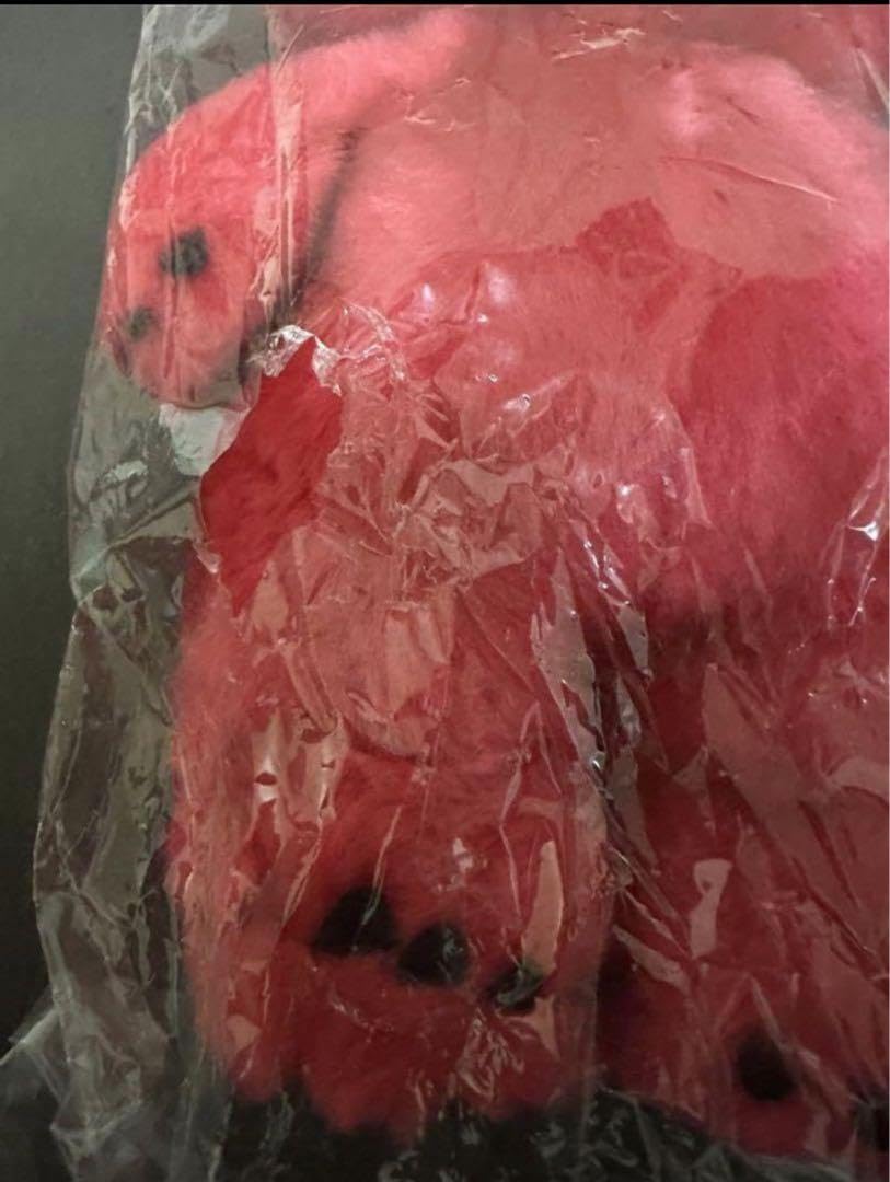 aiko LLP8ライブグッズ ぬいぐるみ 【公式通販】