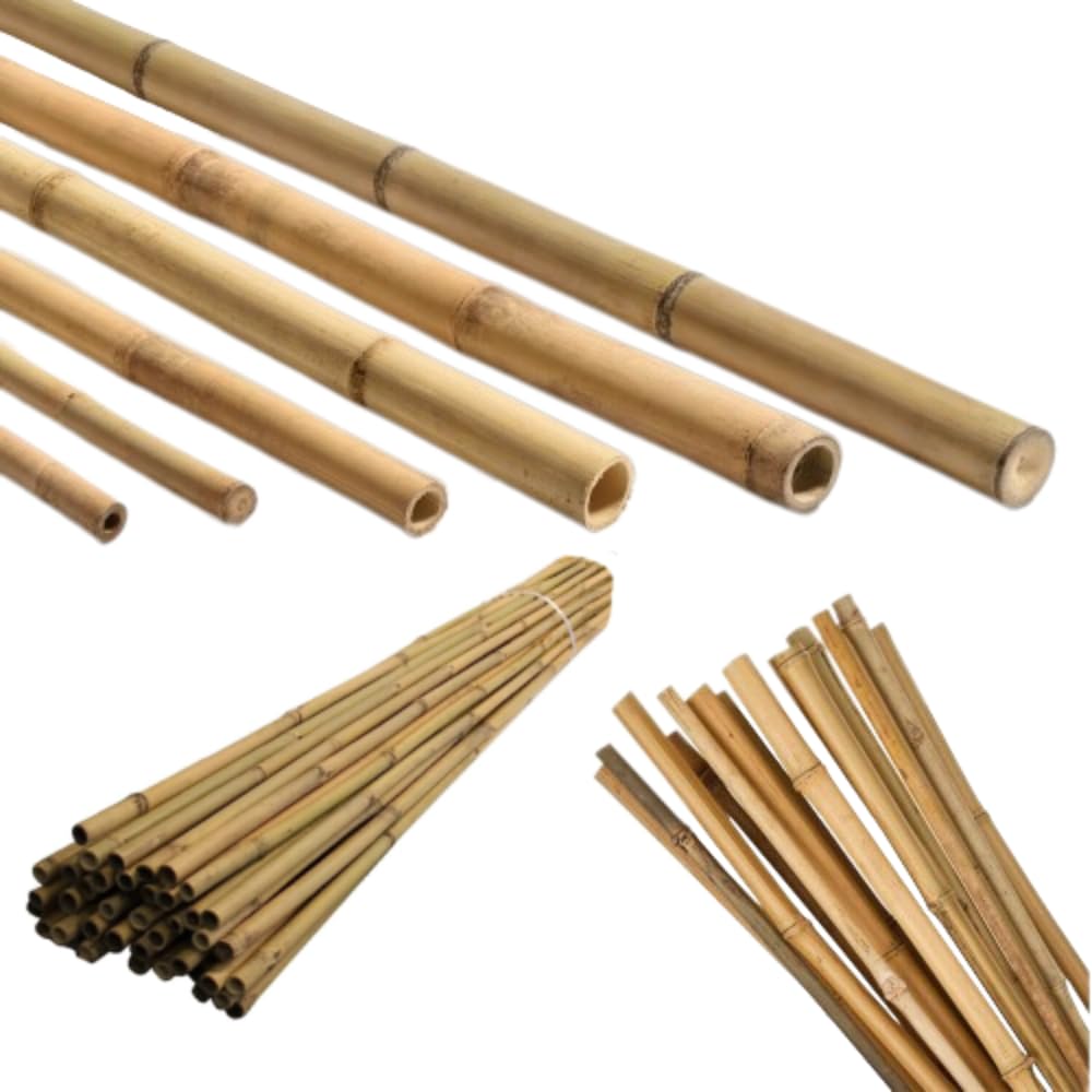 5ft 6ft 7ft Bamboo Garden Heavy Duty Canes Thick Quality for Plant Veg Support Professional Long Cane Strong Stick Durable Stakes (5ft x 10)