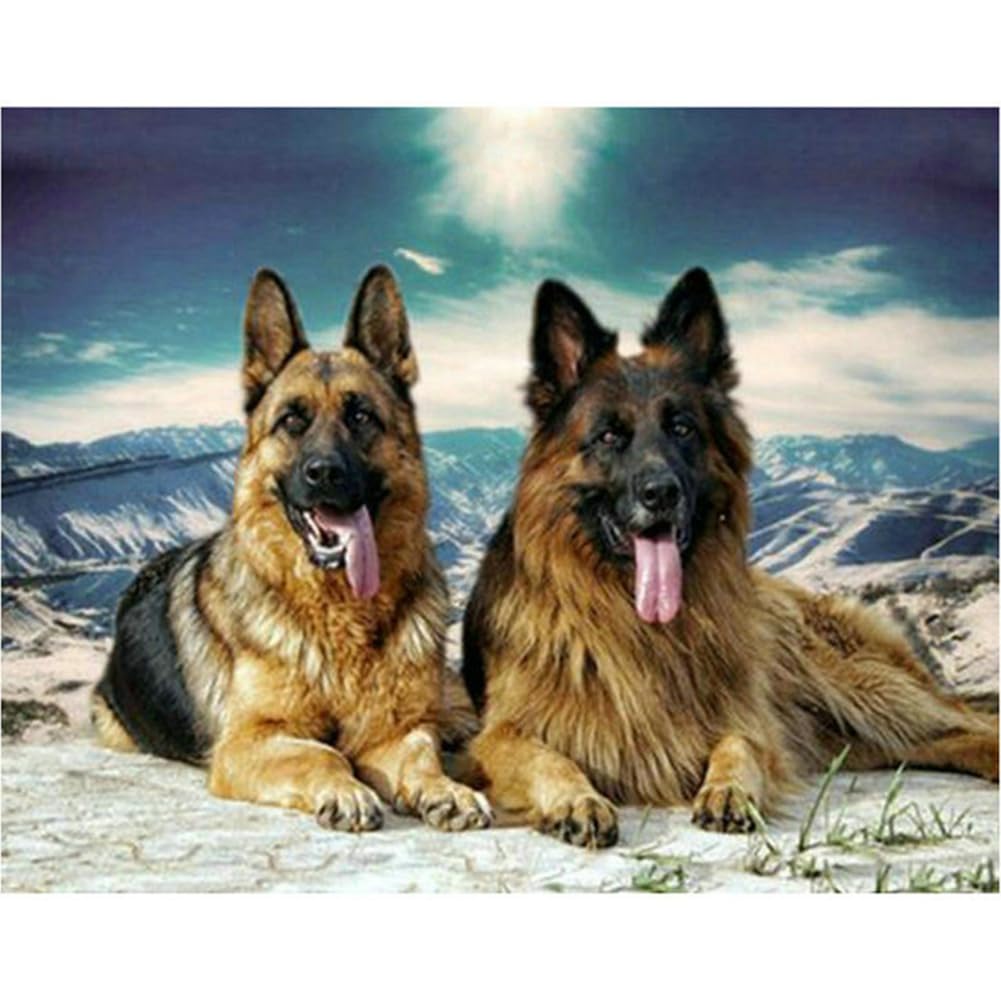 WOWDECOR Stamped Cross Stitch Kits for Adults Beginners, Pre Printed German Shepherd Dog Desert 11ct 30x40cm Pattern DIY Embroidery Starter Kit Needlework Set