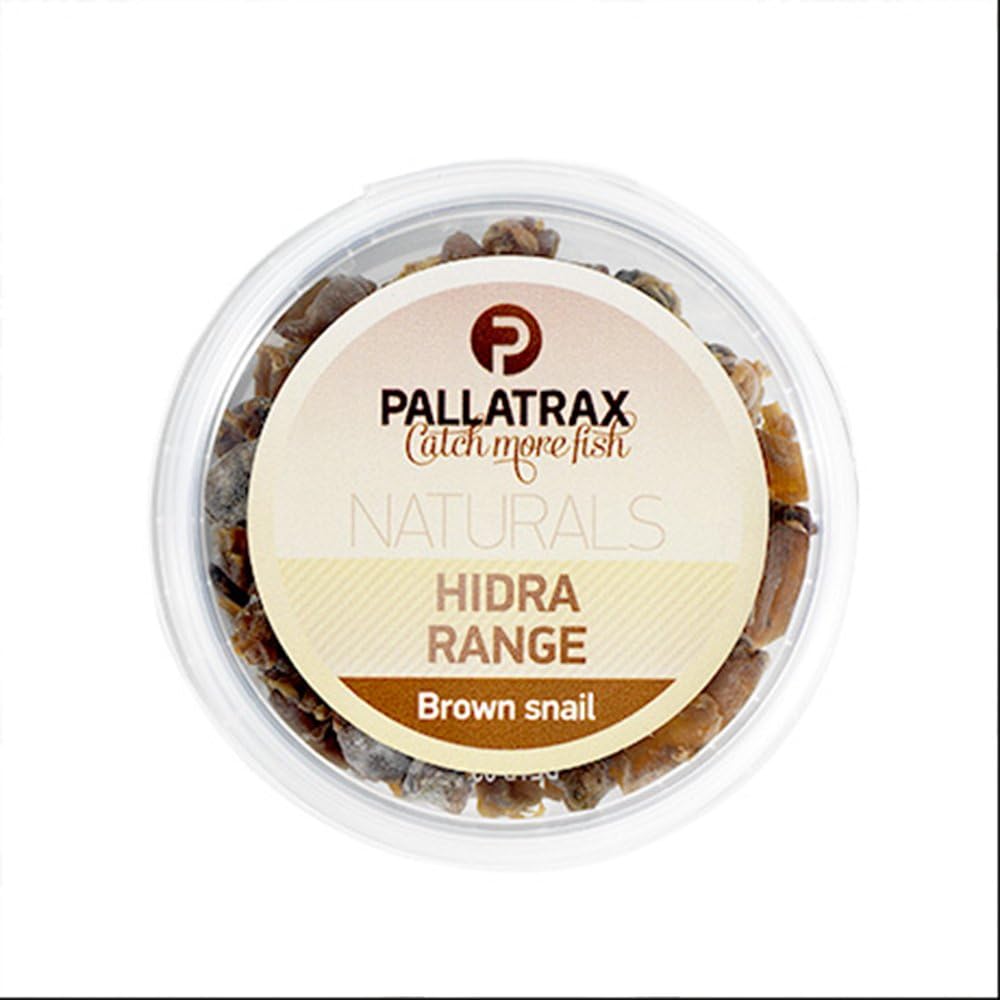 Pallatrax Hidra Brown Snail - Brown, 180c Pot
