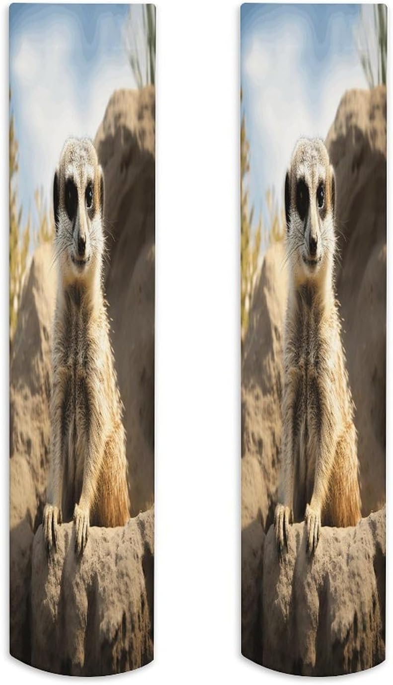 Meerkat Animal Women High Waist Fishnet Stockings Stretch Mesh Pantyhose Sexy Trendy Legwear for Daily Wear
