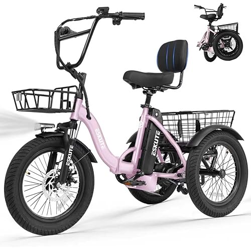 Elecby Adults Electric Trike Bike, 1200W Peak Motor & 499.2Wh Removable Battery,18x3.0 Fat Tire Foldable 3-Wheel E-Bike with Step-Thru Design, Up to 55 Miles, Gift for Parents
