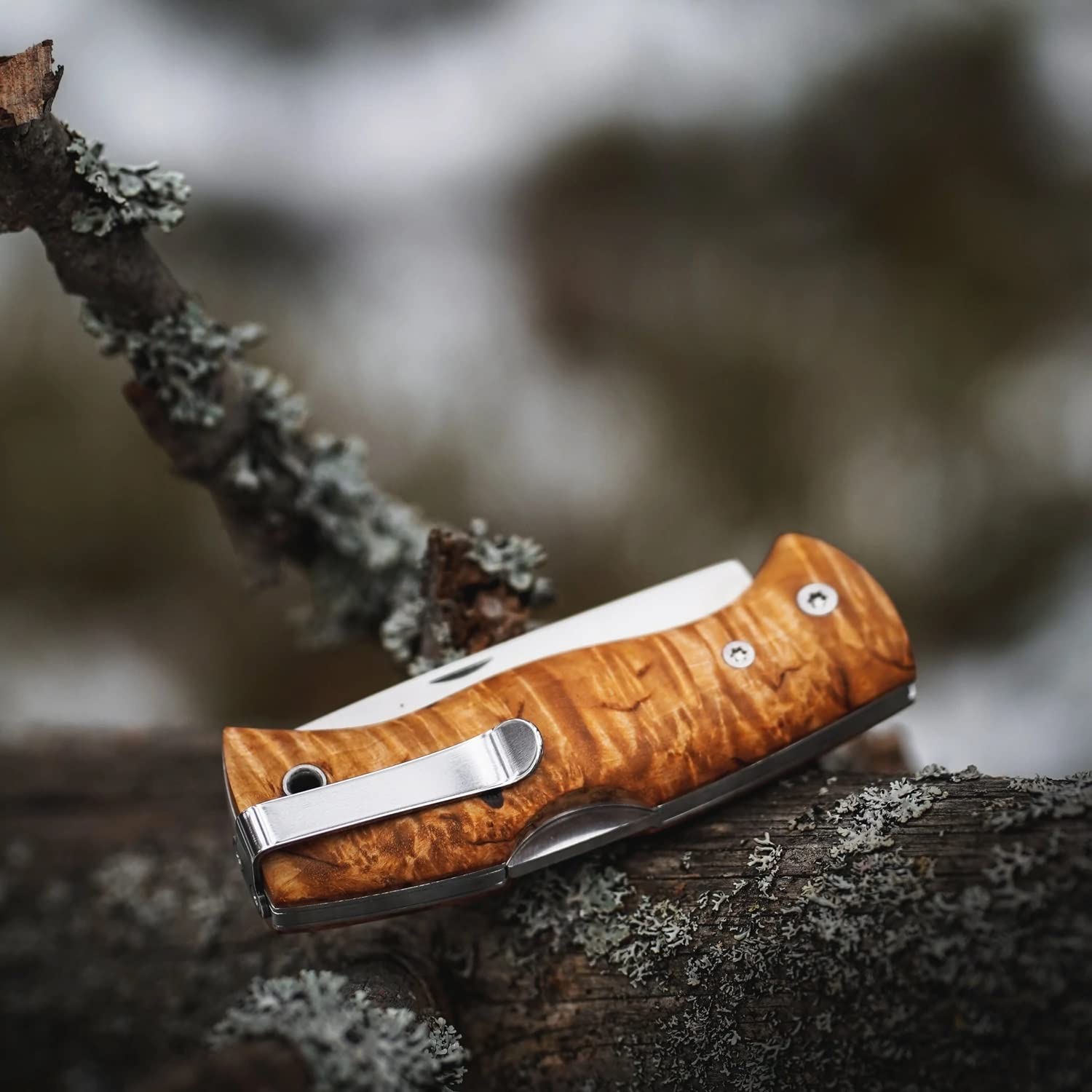 HELLE Knives - Nipa - Taschenmesser mit Clip - EDC Klappmesser mit Curly Birkenholz Griff, Scandi Grind