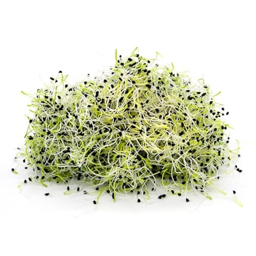 Italian Sprout - Semi per germogli - Porro Matteo - 200 gr.