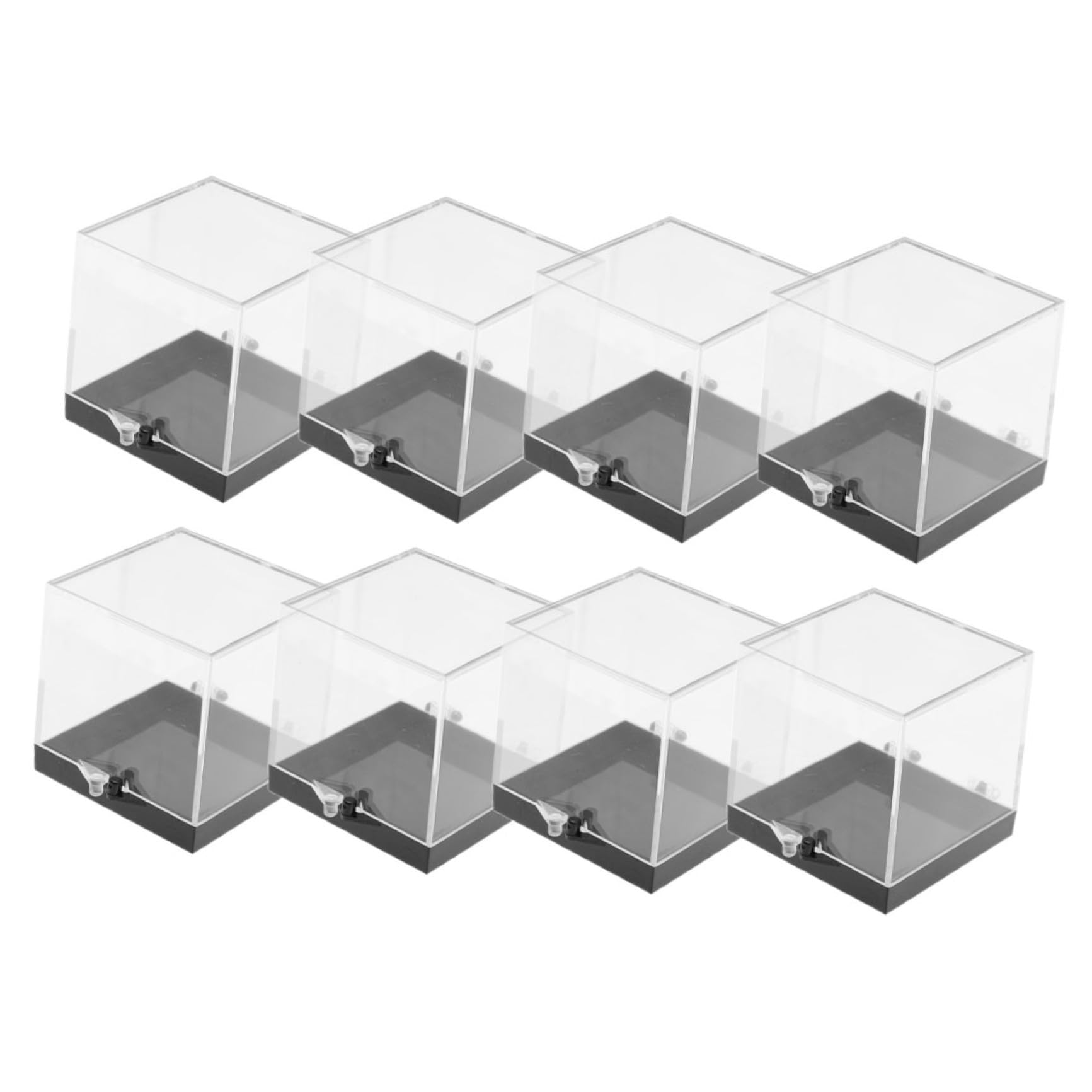 Boîte de rangement transparent carré pour spécimens et insectes | Lot de 8