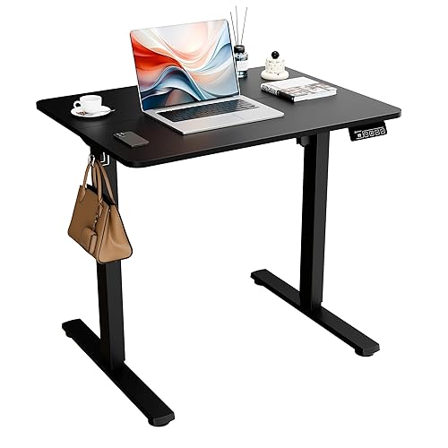 ERGOMAKER Electric Height Adjustable Standing Desk 80x60cm (31"x23.6"), Sit Stand