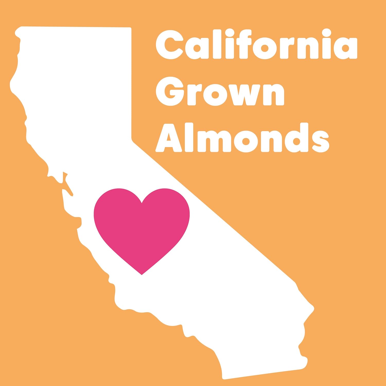 Wilderness Poets, Roasted Almond Butter - Organic, Smooth, Creamy, No Salt, Unsweetened Nut Butter - Bulk Size (40 Pound - 5 Gallon)