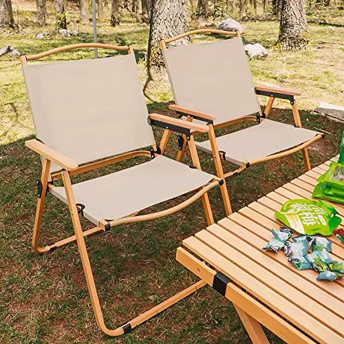Sianeoo Portable Foldable Chair Outdoor Furniture Compact Chair Aluminum With Armrests For Travel Camping, Fishing Picnic，Ultralight Low Beach Concert Camping Folding Chair(Black, Medium) #TOP1