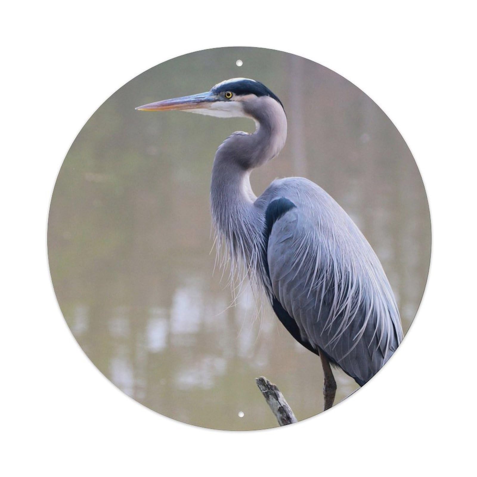 Animal Birds Artwork Great Blue Heron Vintage Metal Tin Sign Plaque Wall Decor for Cafe, Club Bar, Office, Garden Metal Poster 8x8Inch