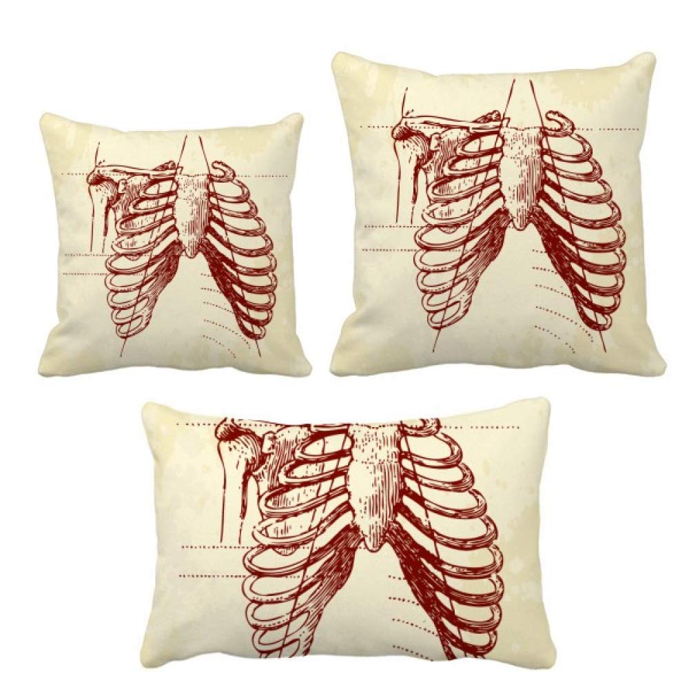 Coussin squelette de côtes pleural pour sublimer votre décoration de canapé