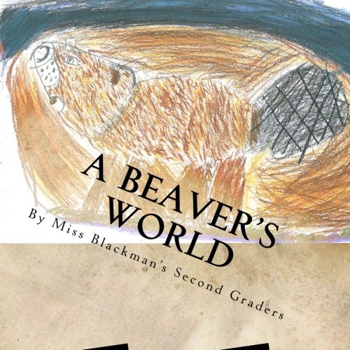 A Beaver's World