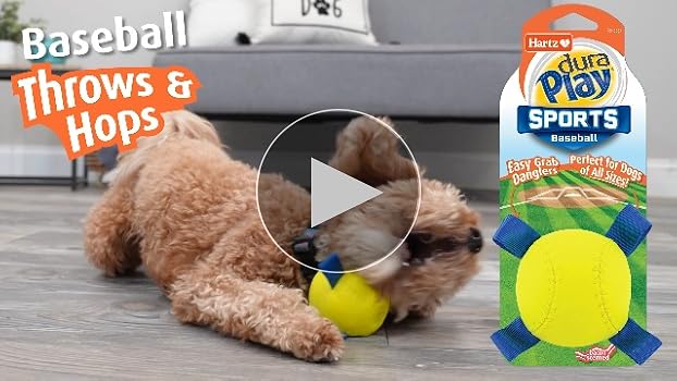 Amazon | Hartz(ハーツ) デュラプレイ SPORTS ベースボール ×3個 犬用