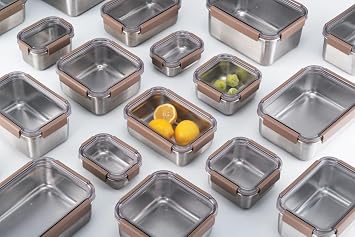LocknLock Stainless Steel Furnace - Storage Container 310 ml with Quadrangular Lock - Brown