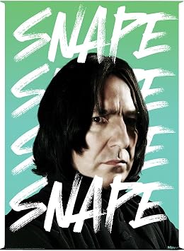 MIGHTYPRINT Harry Potter Severus Snape 17 x 24 Wall Art | Translucent wall art | Bedroom or office display | Harry Potter fan gift