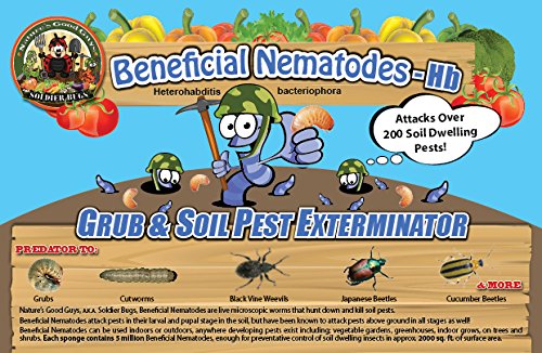 5 Million Live Beneficial Nematodes Hb - Soil Pest Exterminator