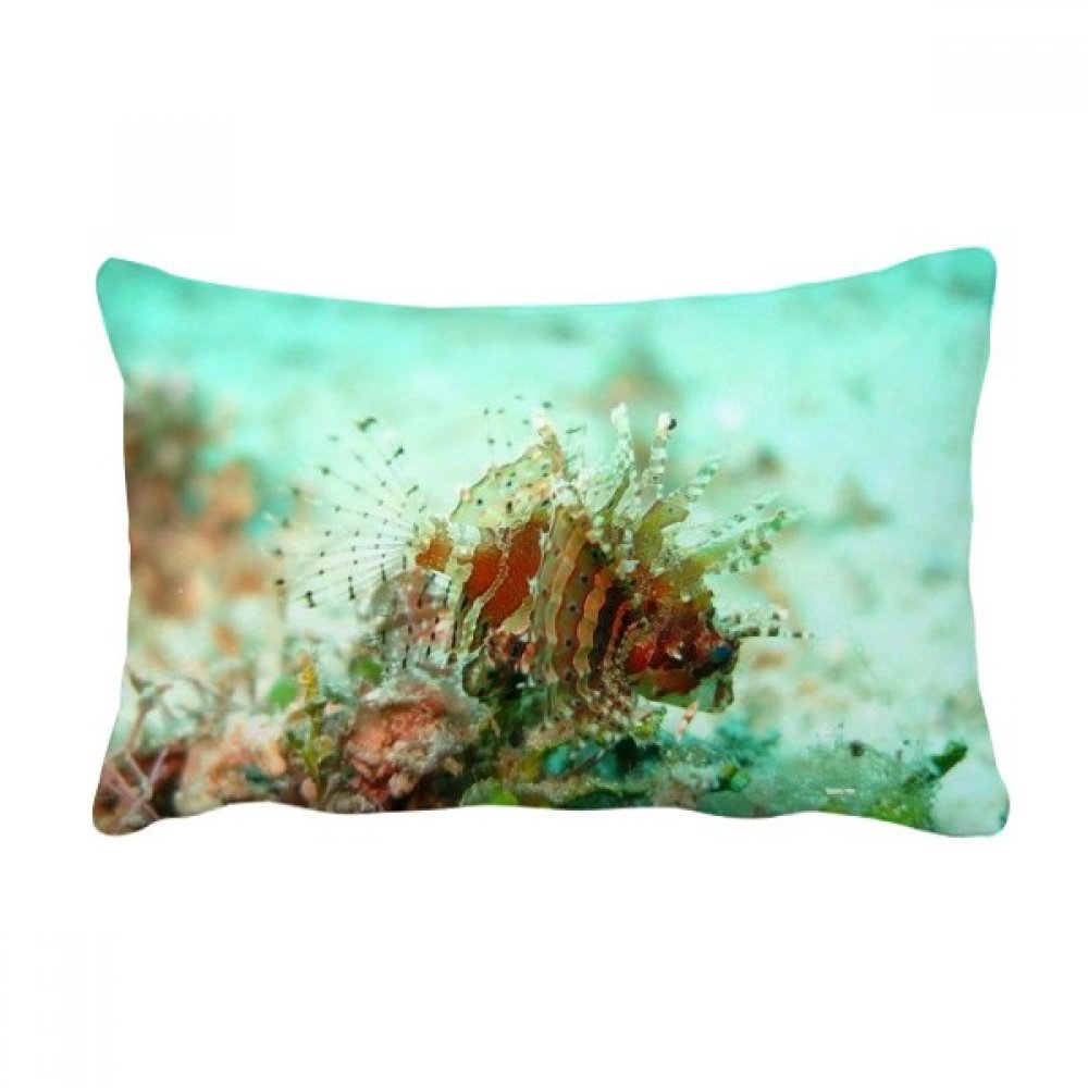 Coussin lionfish pour soulager le dos oreiller lombaire de canapé multicolor
