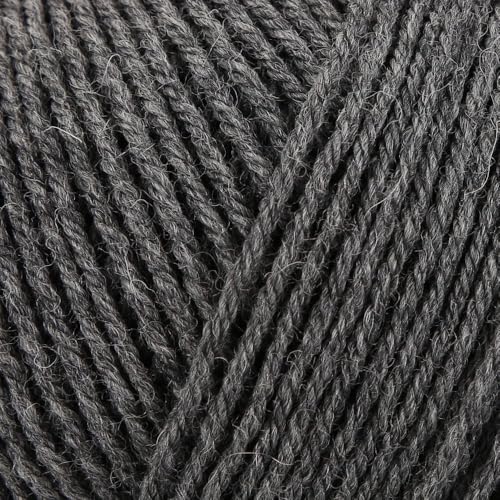 Regia Premium Pure 0091 Mélange de gris moyen 100 g