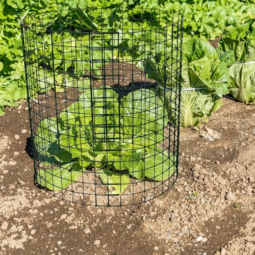 Hyuetrsa 12 Pack Plant Protectors from Animals, 14'' Dia x 14'' H Wire Plant Protector Cage,24 Pcs Pre-Bent Metal Mesh Plant Cages to Keep Rabbits, Squirrels and Chicken Out with Zip Ties & Stakes by Hyuetrsa - Image 6