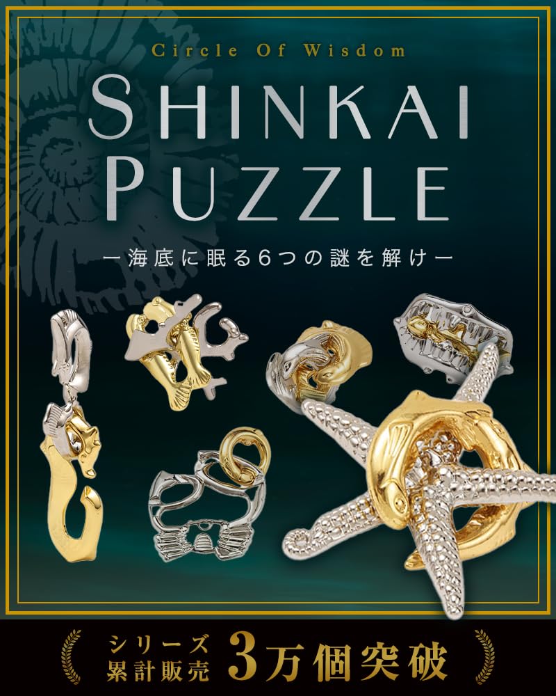 Amazon.co.jp: 【NZ-base】知恵の輪 ちえのわ 大人 暇つぶし 【6個