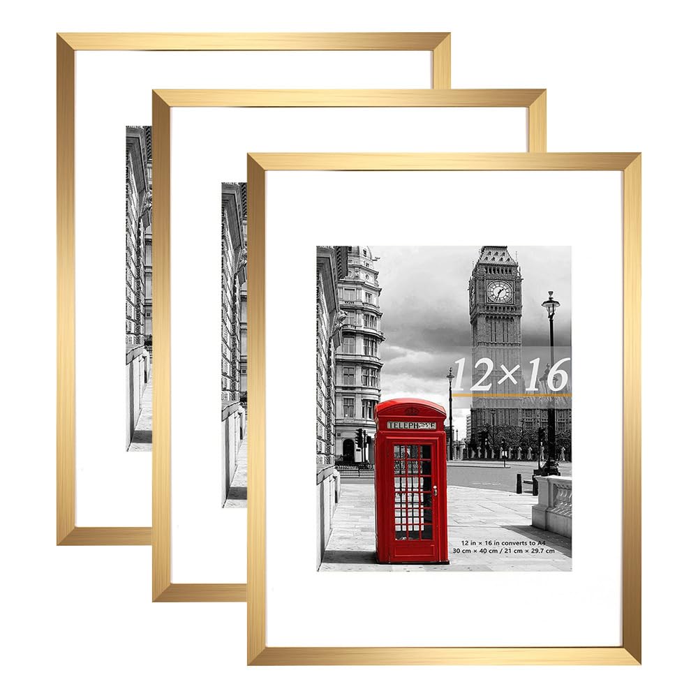 Scholar Tree Gold Picture Frame 12x16 (30x40cm) with Mount for 8.5x11, Set of 3, 30x40cm Poster Frame,Wall Mountable