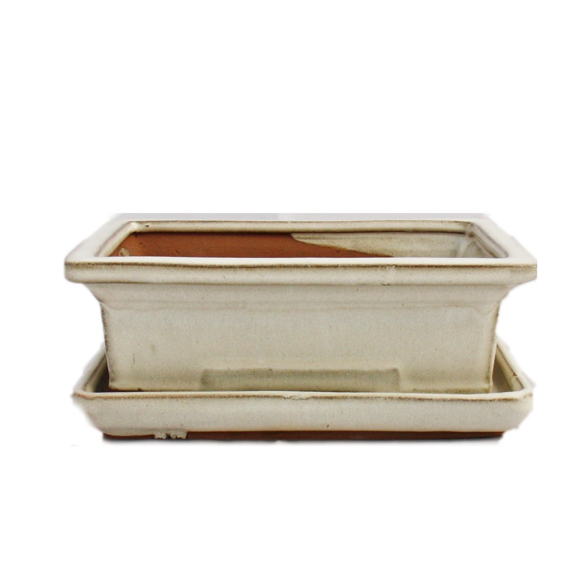 Exotenherz - Bol à bonsaï avec soucoupe taille 3 - beige clair - rectangulaire - modèle G29 - L 18 cm - l 13 cm - h 6 cm