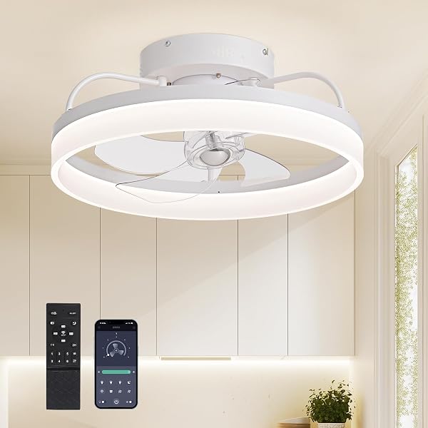 LUDOMIDE Ceiling Fans