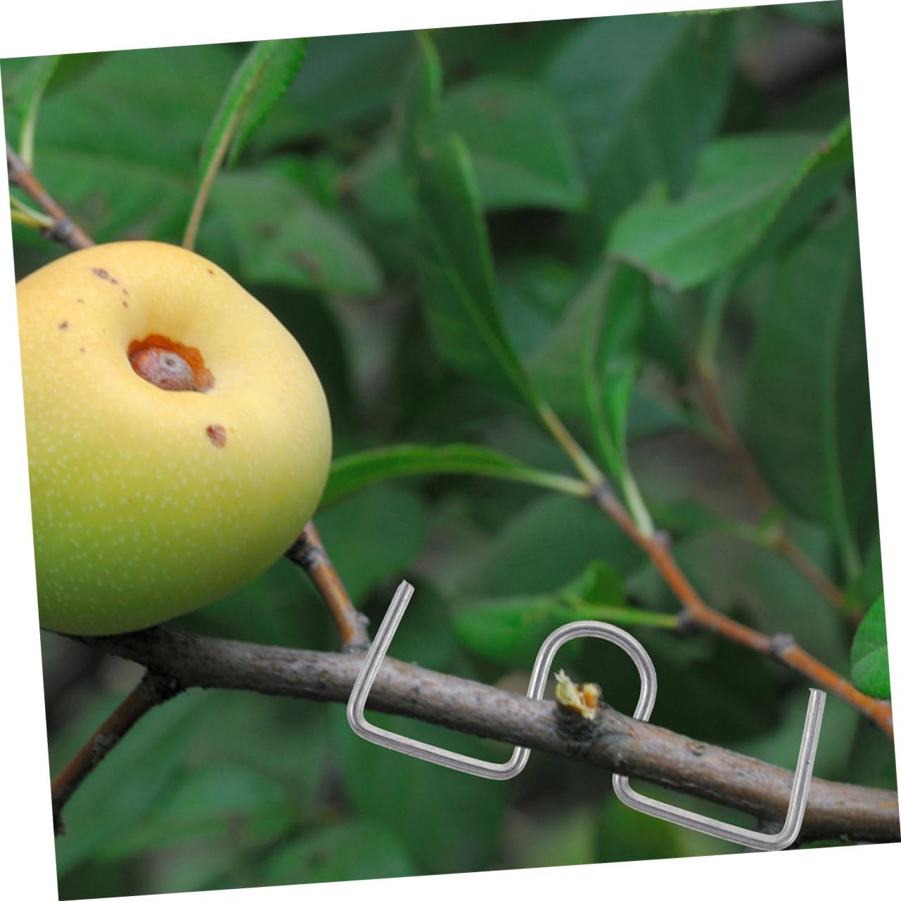 3sets Tree Bending Tool Branch Clip Extender for Plant Training Garden Clips for Trees Metal Puller Tool Kit