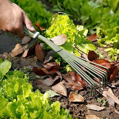 Sungmor 9 Strong Tines Gardening Leaf Rake Hand Tool | Small Hand Rake For Sweep & Picking Up Leaves | Comfort Handle & Anti-Rust Steel Head #TOP1