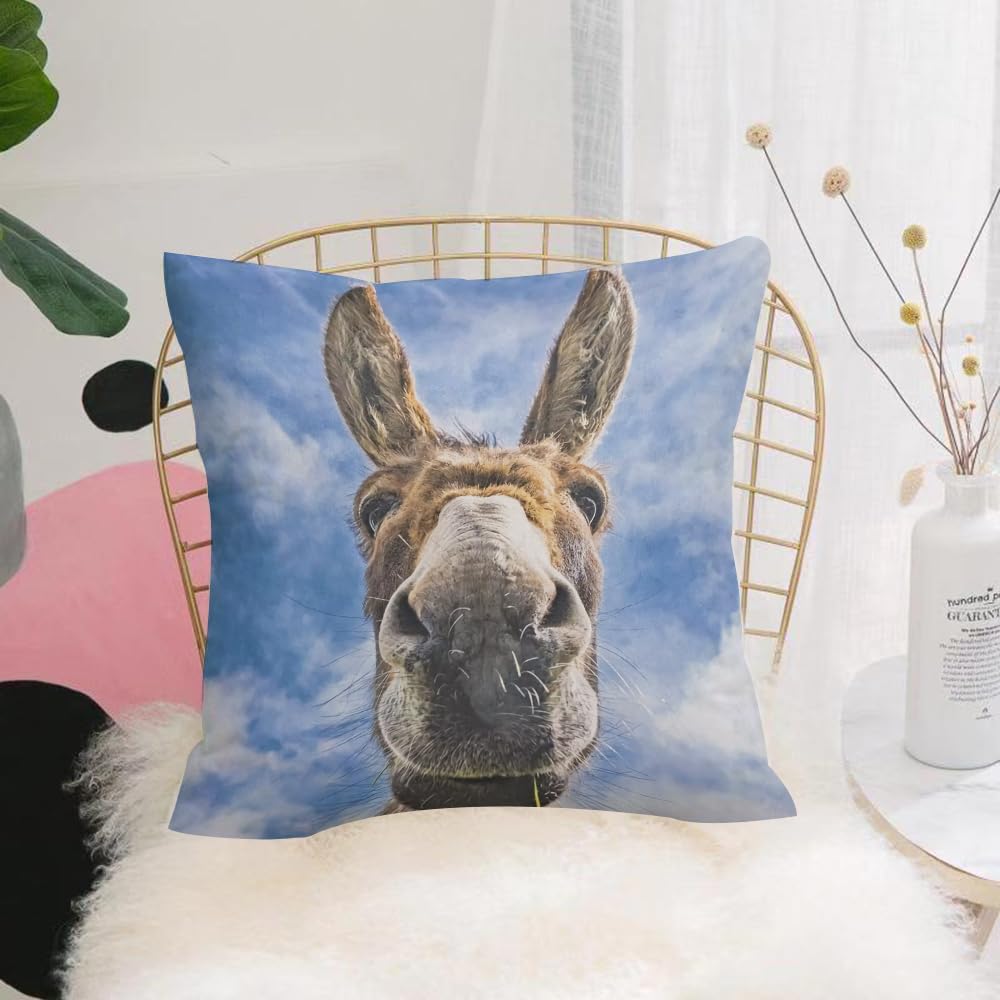HYMSXW Cushion Cover,Throw Pillow Case Home Decorative for Living Room Bedroom Sofa Chair 20X20 Inch,Donkey portrait, donkey nose and ears, blue sky and dark clouds as tranquil bac,Pillowcase 50X50cm