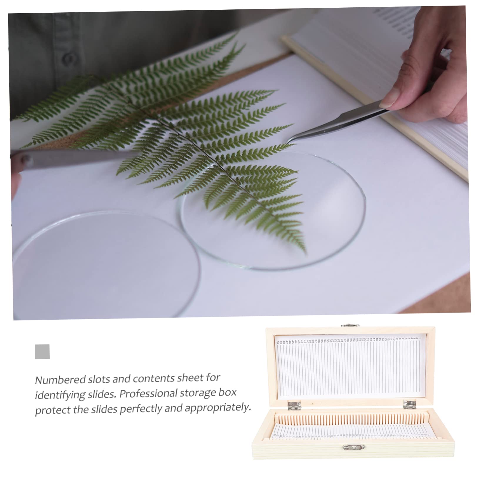 FUNOMOCYA Microscope Slide Storage Cabinet 50-Slice Wooden Slide Case for Biology Use