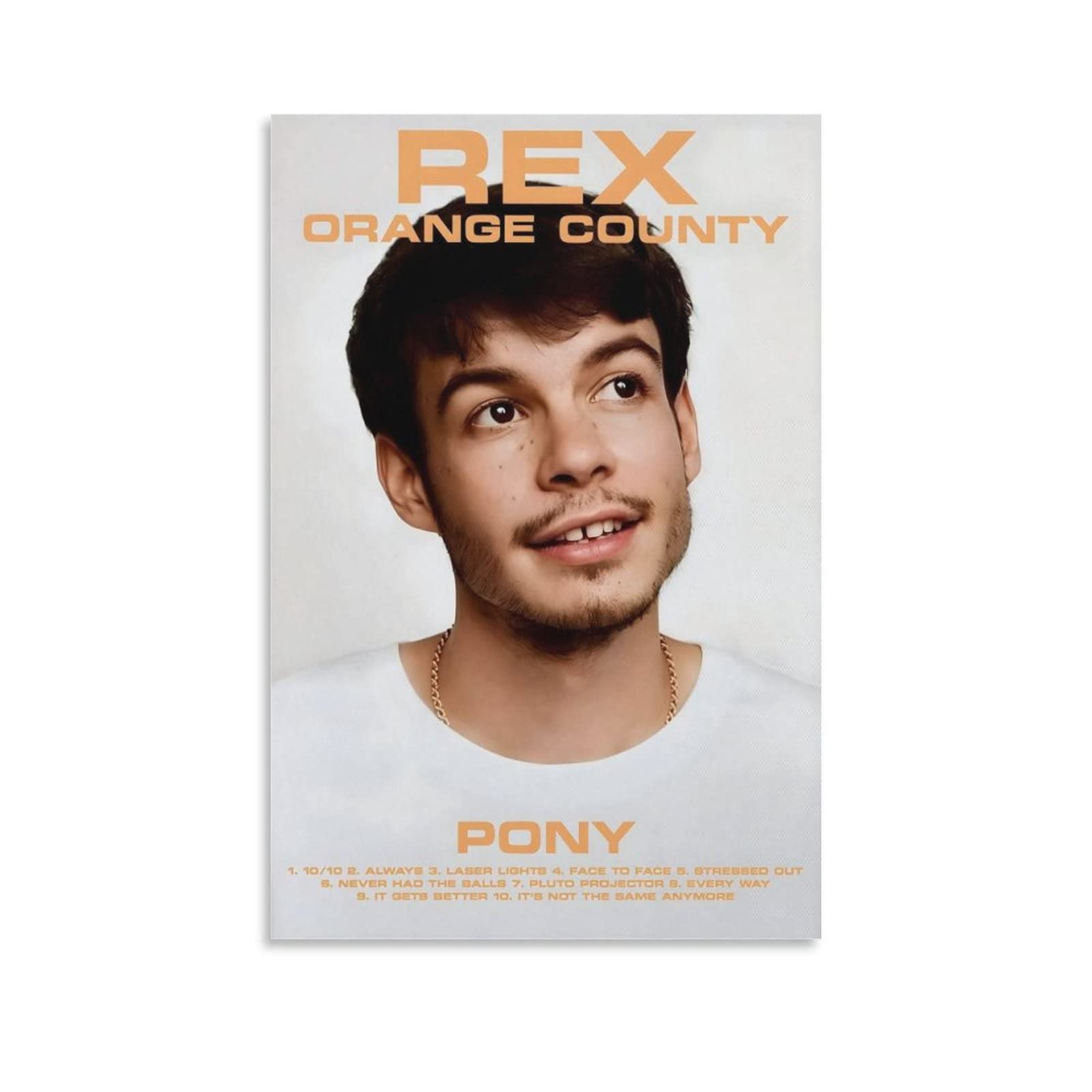 Impression Rex Orange County Pony idée cadeau idéale 50x75 cm pour ados - 6