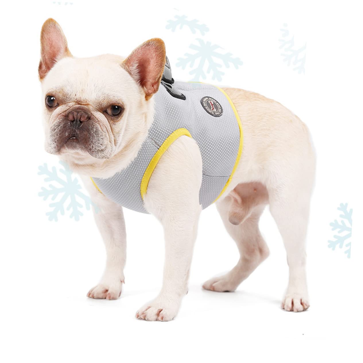 FRCOLOR 2 Pz gilet estivo raffreddamento harnesso cane traspirante gilet rinfrescante per cani giacca rinfrescante per animali domestici animale domestico Imbracatura corda