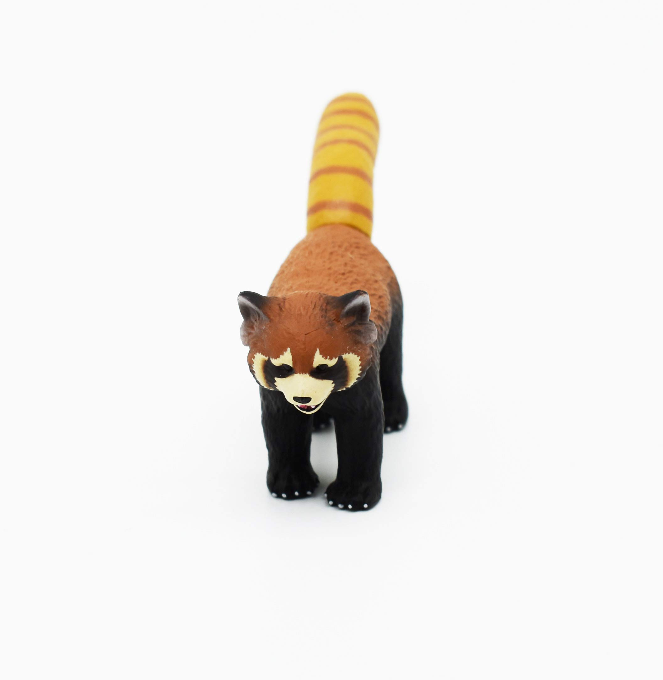 Buy Collectible Wildlife Gifts Red Panda Plastic Replica 3 5 L X 1 5 T F093b384 Online At Desertcart Bahrain