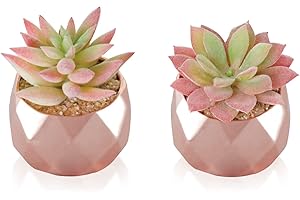 Tiita Artificial Faux Rose Gold Succulents