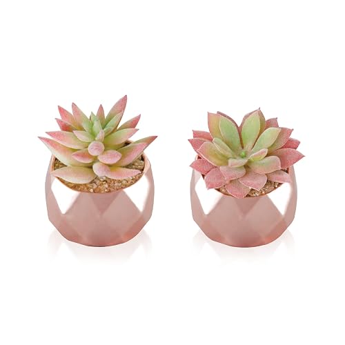 Tiita Mini Rose Gold Artificial Succulents in Pots for Desk