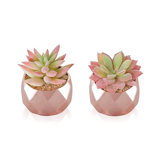 Tiita Artificial Faux Succulents in Pots, Mini Rose Gold Fake Plants for Women Desk, Small Realistic Faux Succulents for Home Office Accessories Window Sill Bathroom Bedroom, Rose Gold