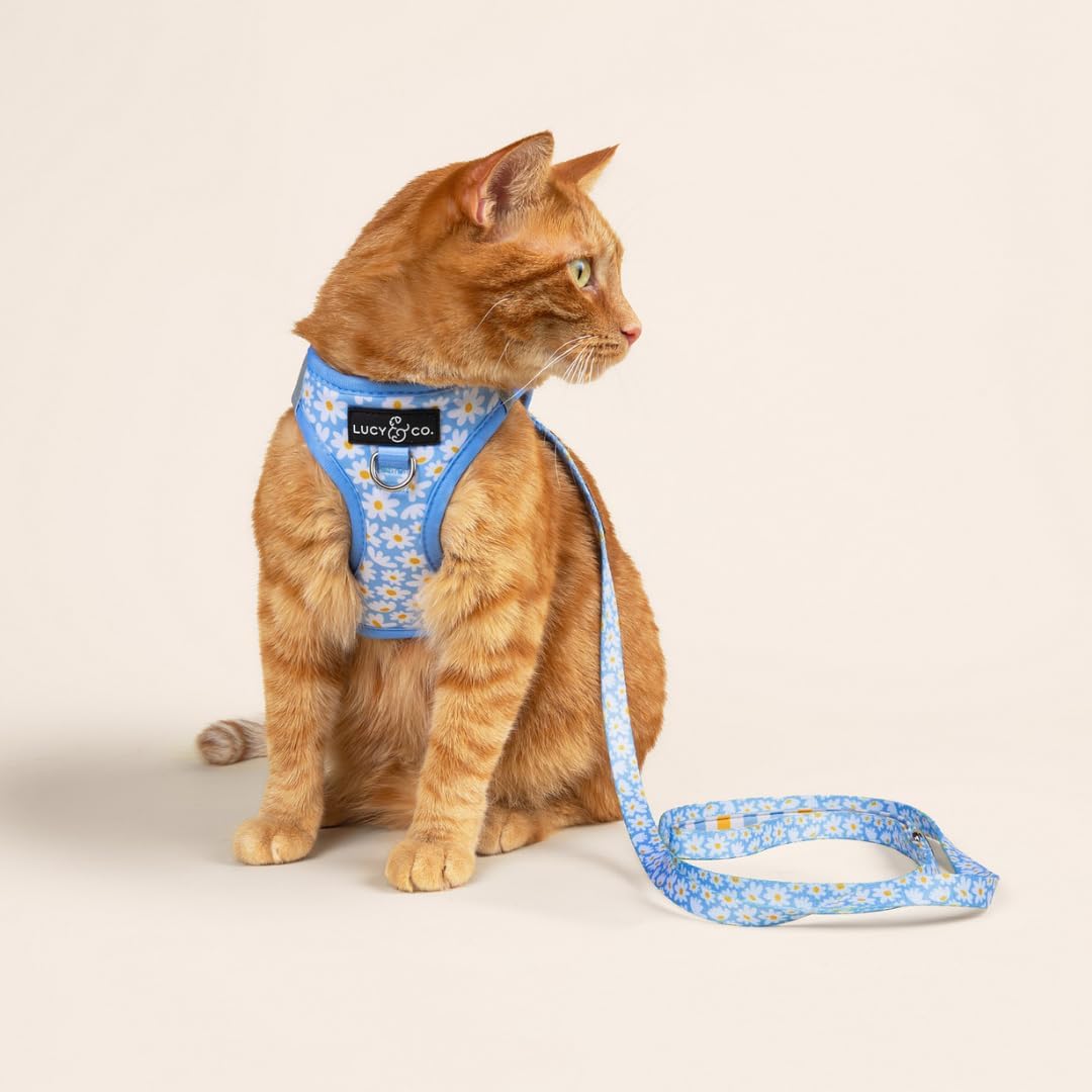 Lucy & Co. Simply Splendid Step-in Cat Harness & Leash Bundle – Reflective, Breathable & Adjustable Harness for Cats, Kittens & Small Dogs, Lightweight & Secure and Dual Leash Clips – Large