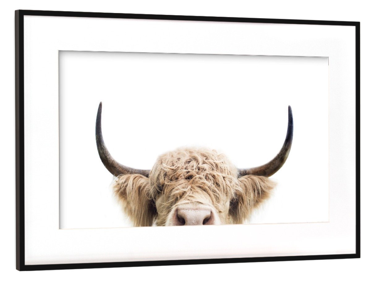 artboxONE framed poster black (metallic) 45x30 cm Peeking Cow by Sisi And Seb - framed print