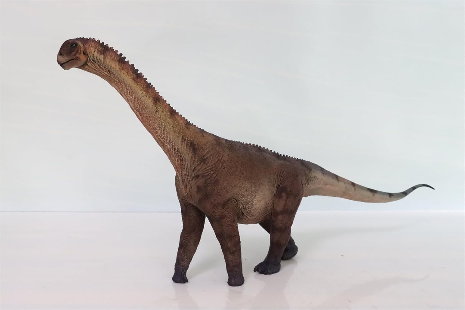 1:35 Camarasaurus Model Sauropod Dinosaur Animal Collector GK Decor Gift (Brown with Box)