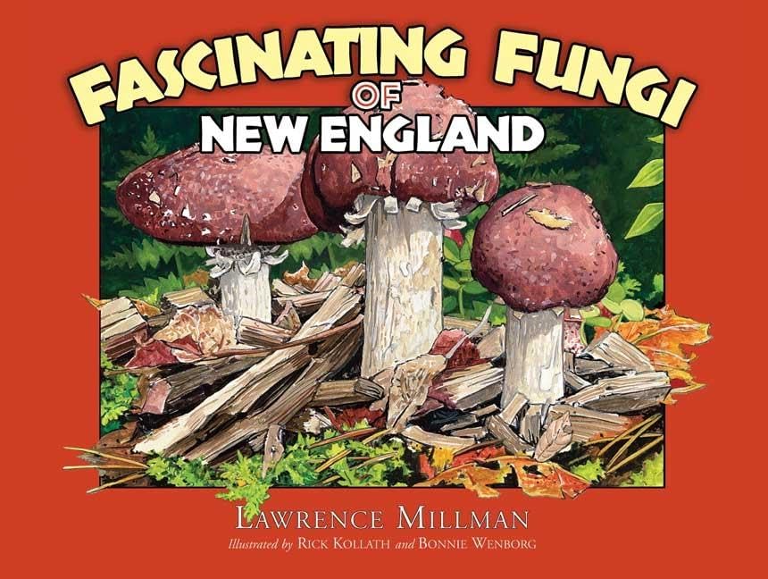 Fascinating Fungi of New England cover