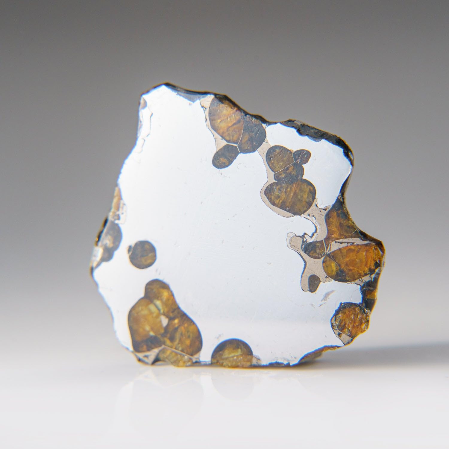 ブレナム隕石 (Brenham Pallasite)