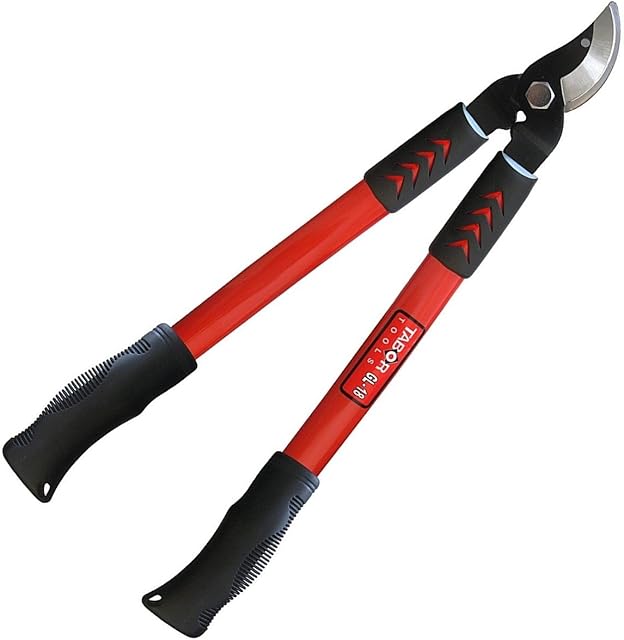 TABOR TOOLS GL18E Bypass Mini Lopper, Makes Clean Professional Cuts, 2 1/2 cm Cutting Capacity, 50cm Tree Trimmer and Branch Cutter (GL18E Classic Bypass, Short)