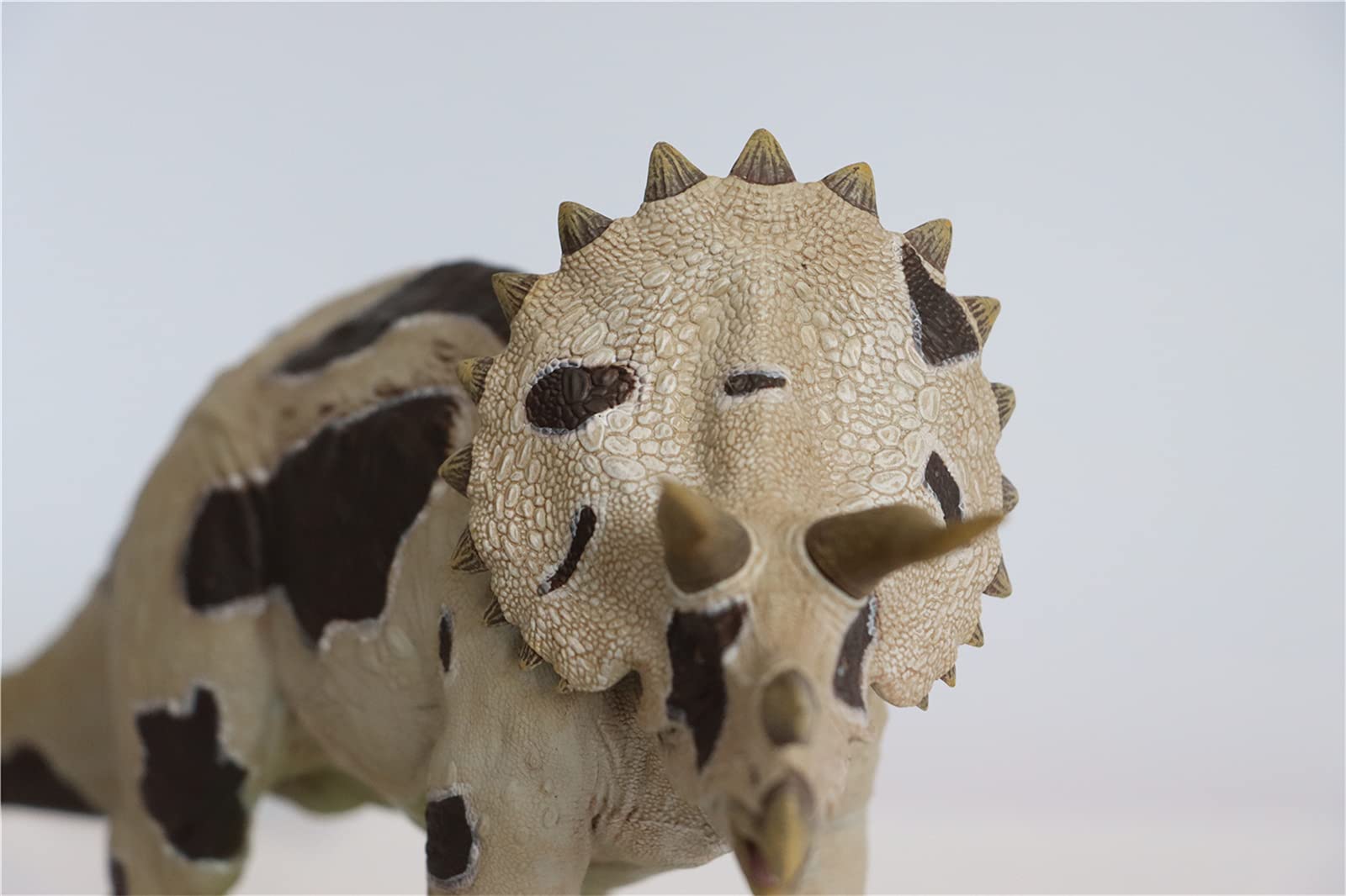 Amazon | Nanmu 本心楠改 1/35 サイズ トリケラトプス Triceratops