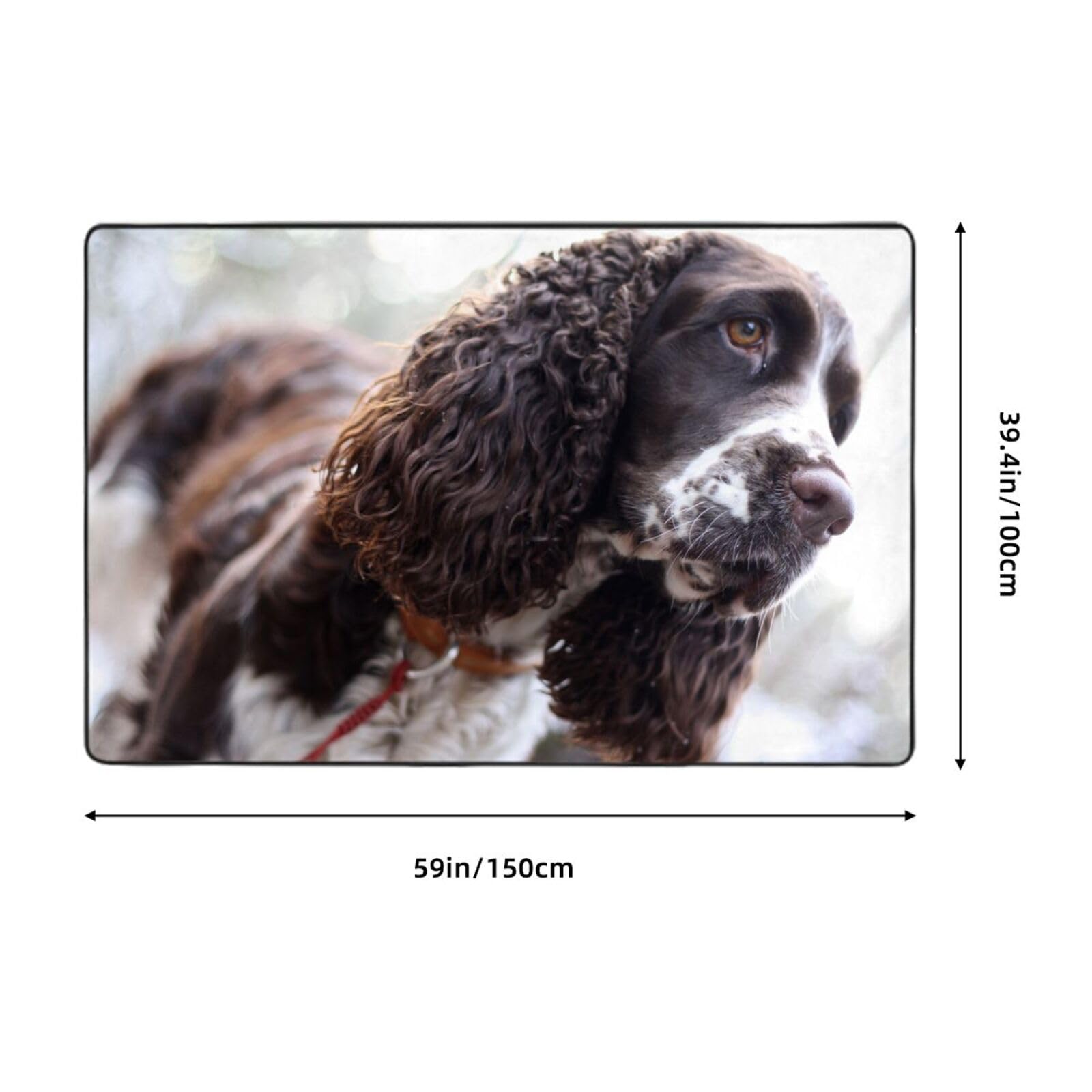 Englischer Cocker Spaniel, braun-weiße lockige Hunde, Großer Teppich, rutschfeste Fußmatte für Wohnzimmer und Schlafzimmer, 150 x 100 cm
