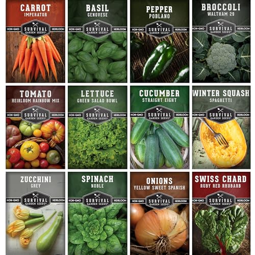 Vegetable & Herb Seeds 12 Vegetable Seed Variety Pack - Broccoli, Carrot, Basil, Lettuce, Onion, Pepper, Swiss Chard,...